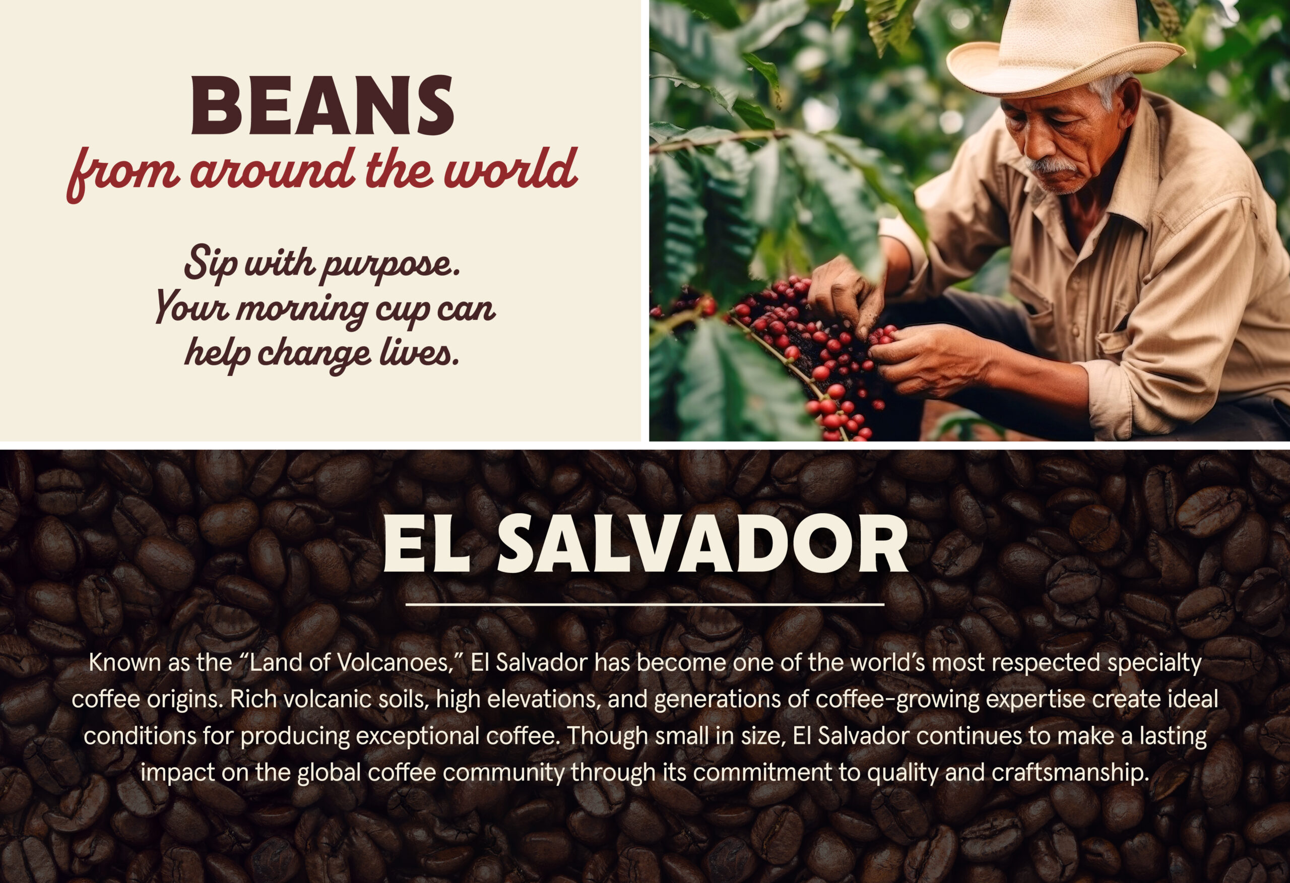 Dunn Brothers Coffee